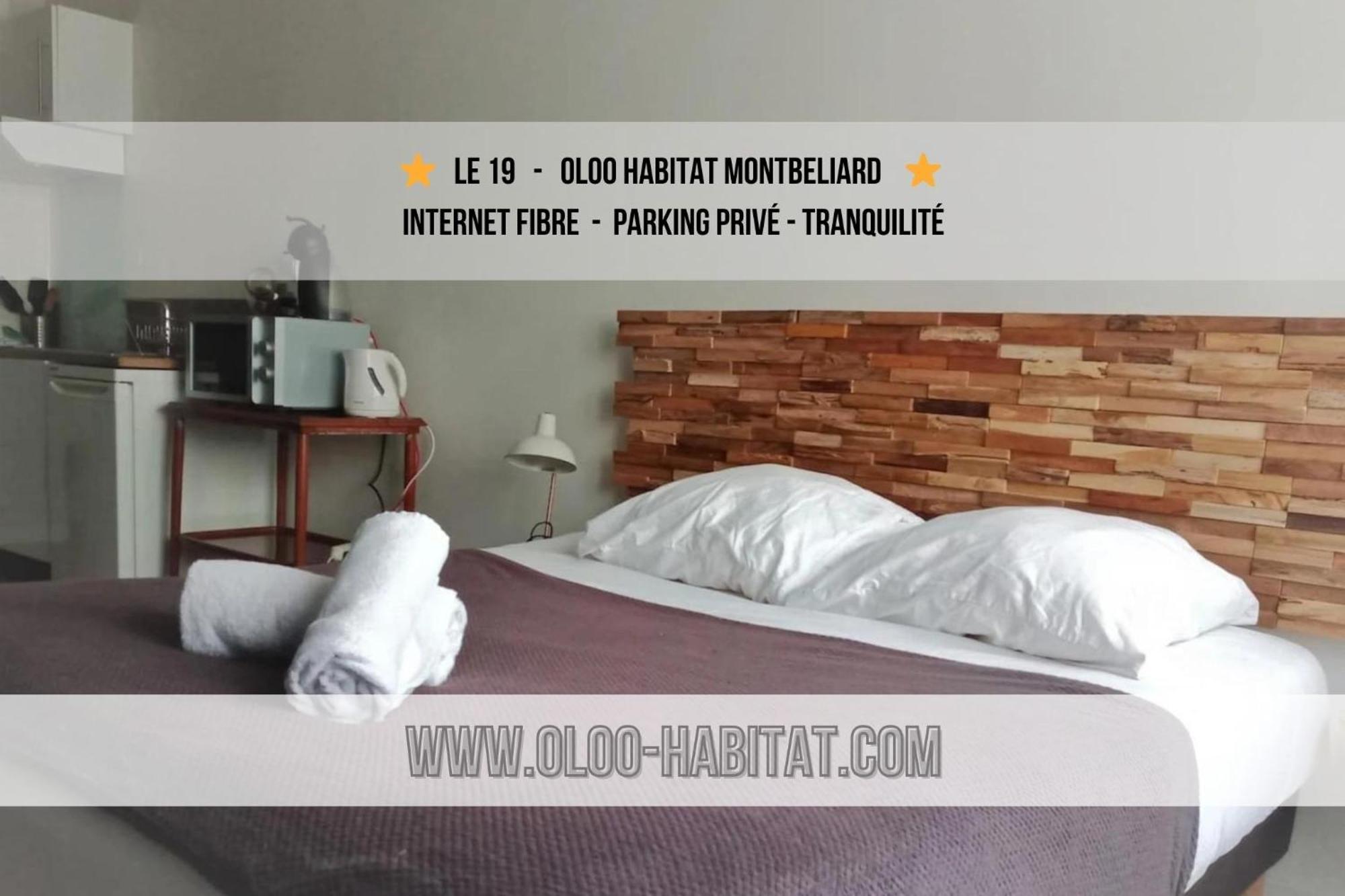 Апартаменти Oloo Habitat - Le19 - Parking Prive Монбельяр Екстер'єр фото